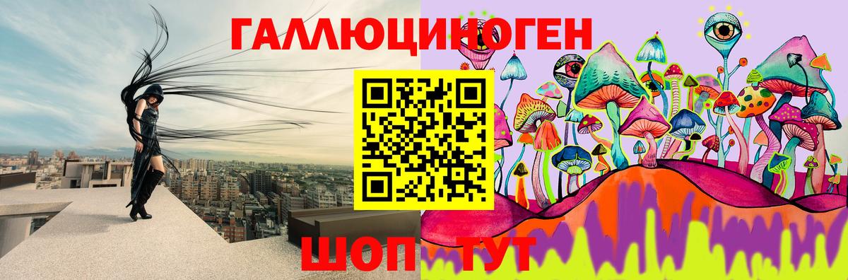 наркотики  Вход с VPN  Псилоцибиновые грибы Psilocybe  Ярославль  Псилоцибиновые грибы прущие грибы 